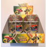 Pokémon Lot de 2 pokébox Tokorico-GX + présentoir officiel